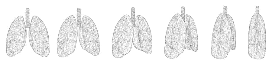 vector set of lungs outline