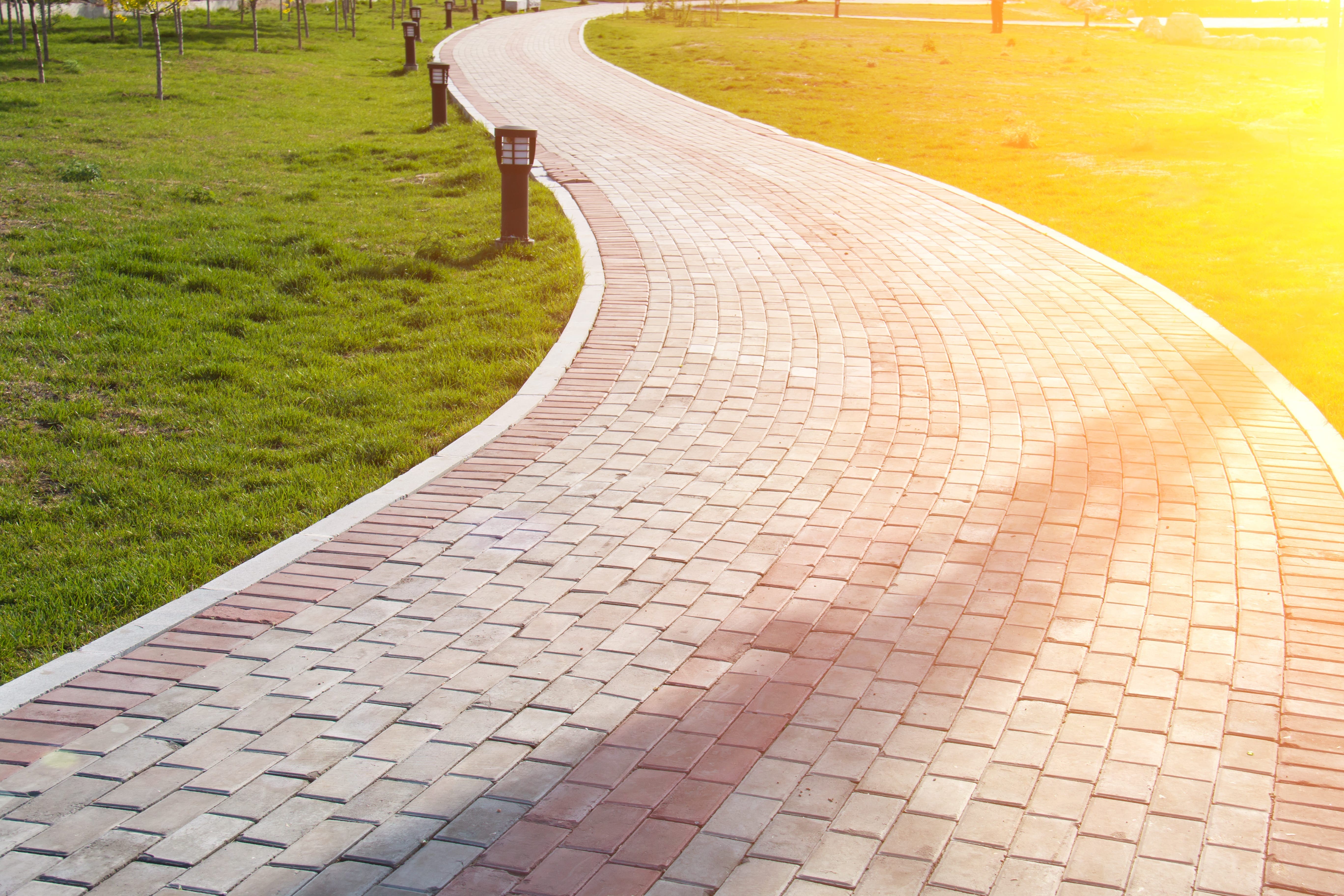 sunny windy path in park